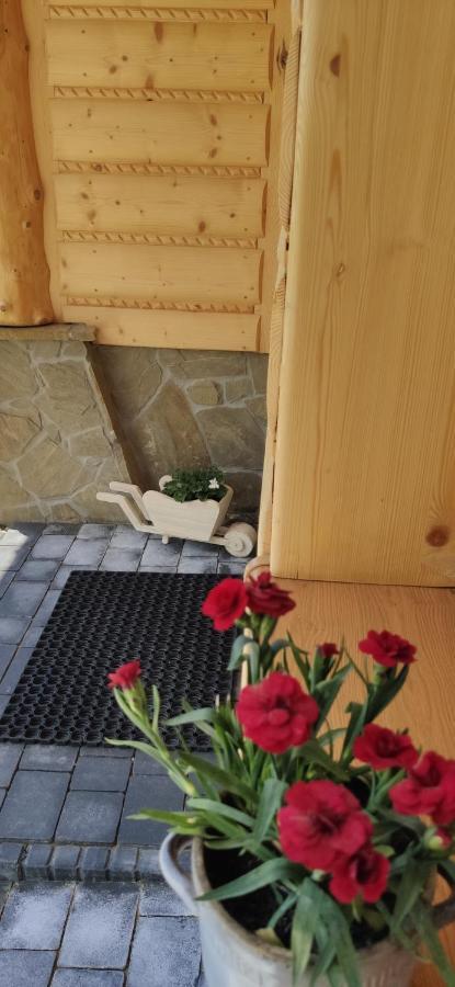 Goralskie Domki Na Podhalu - Z Jacuzzi Maniowy 外观 照片